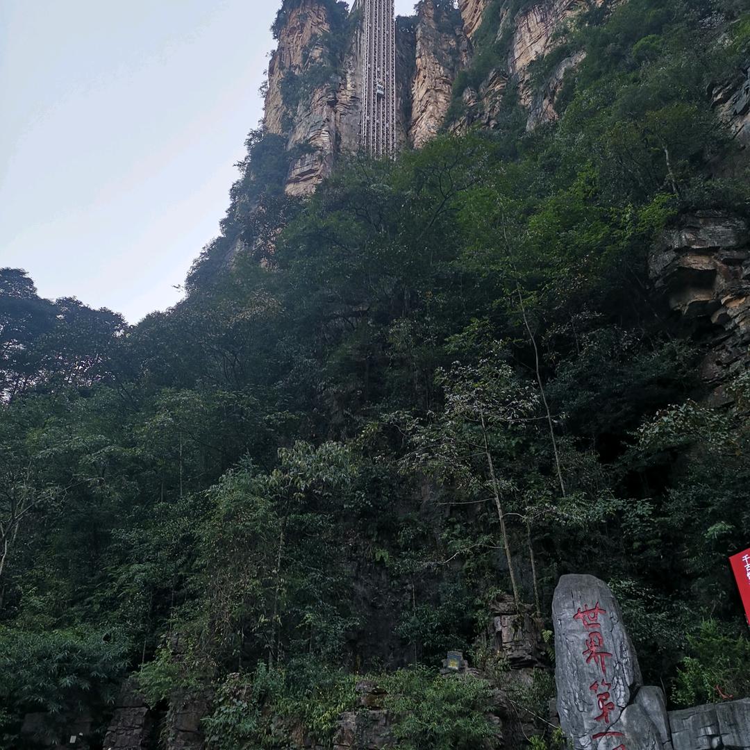 大宋，秀秀