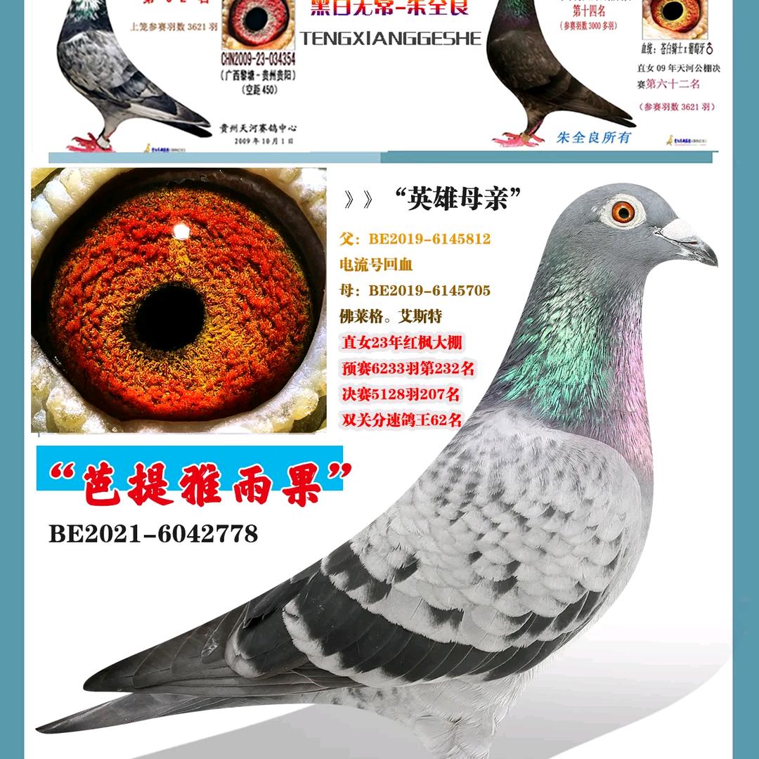 黑白无常-朱全良