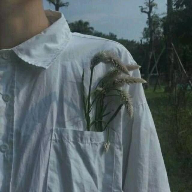 谊林学长
