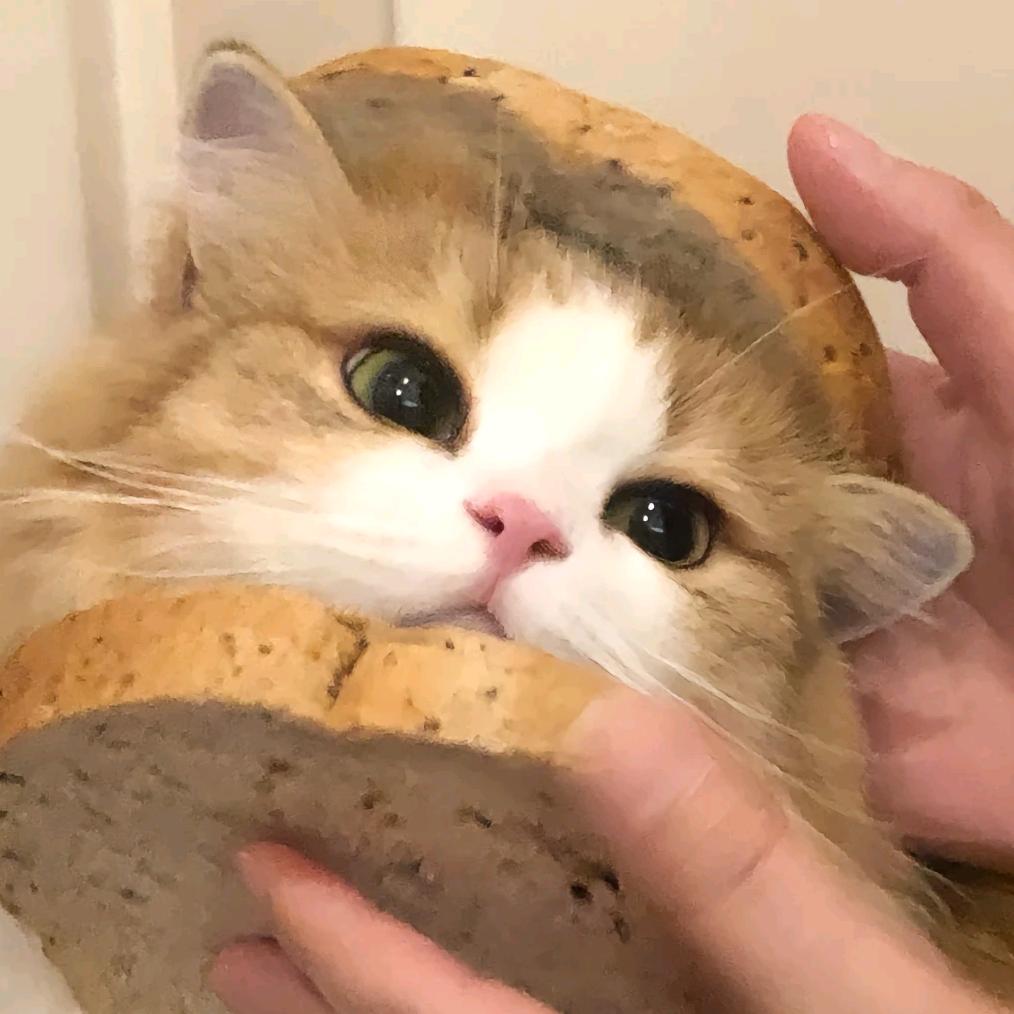 蹬你一腿