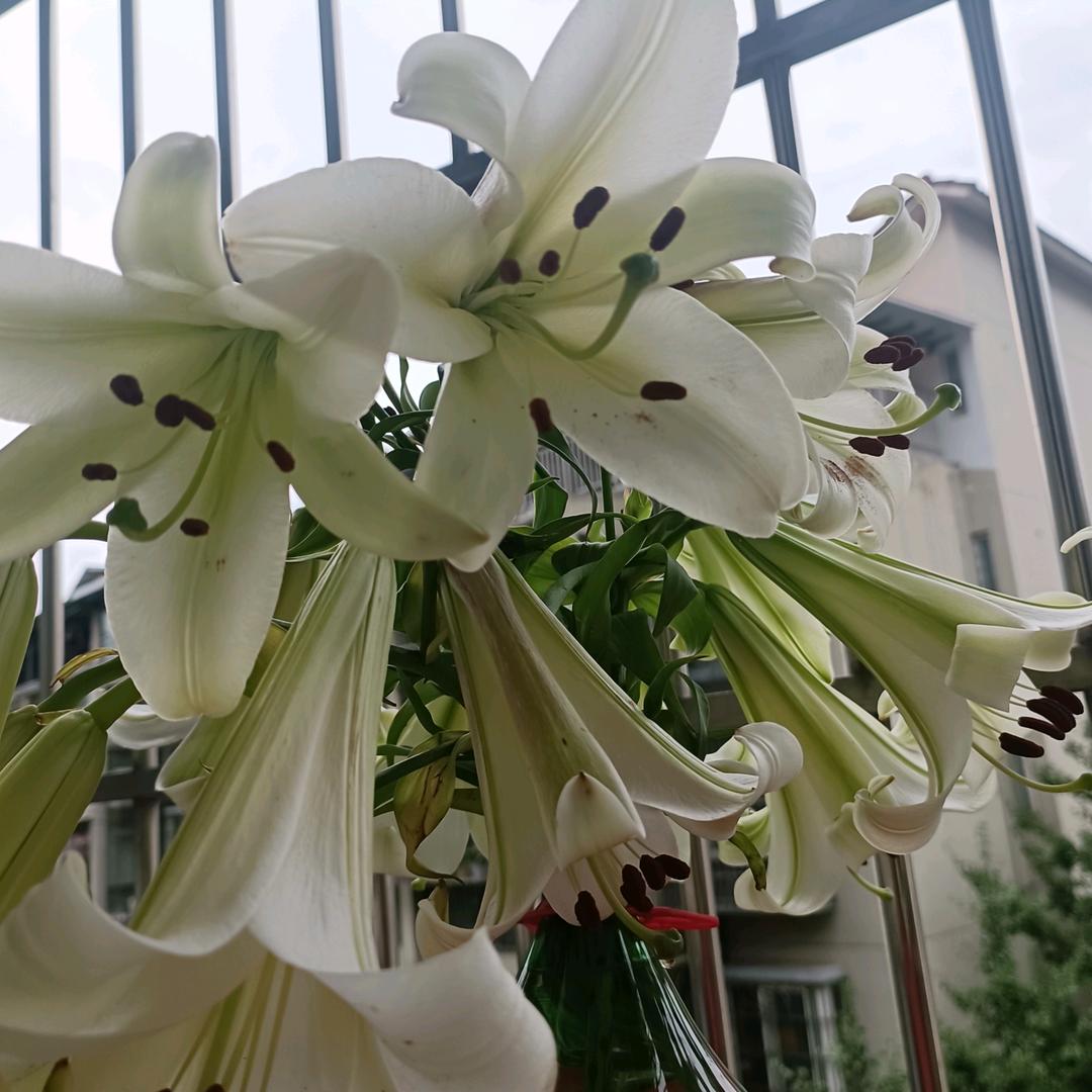 丝缘造型官方号