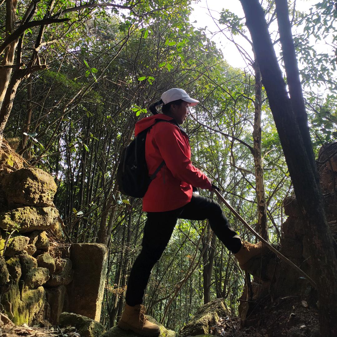 风中…………