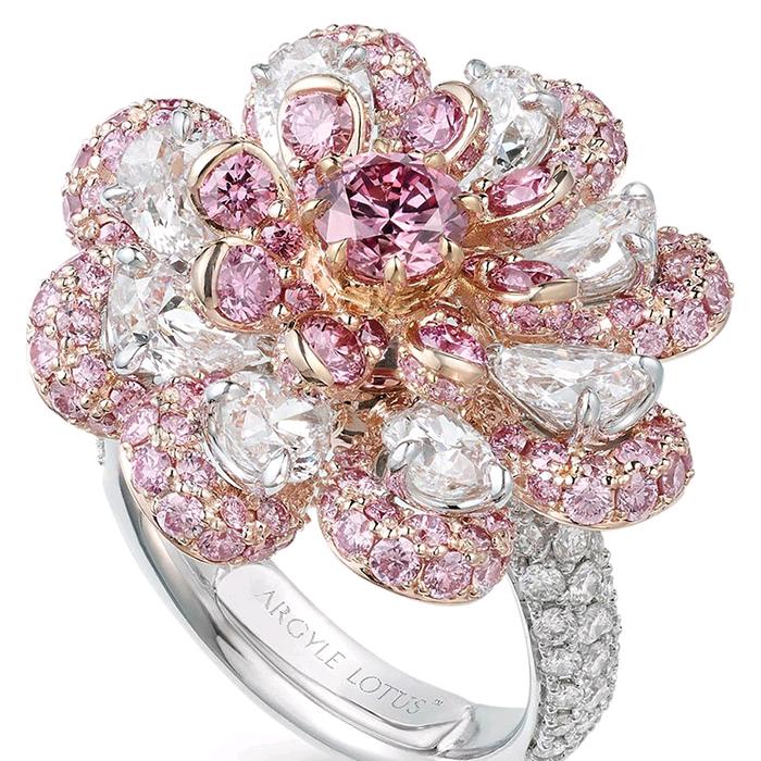 狂野女王秘密计划