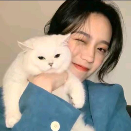 💖真心爱你💖