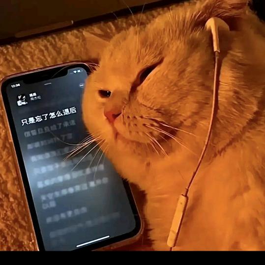 你比从前快乐