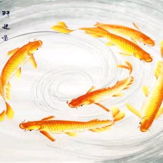 快乐鱼儿🐠