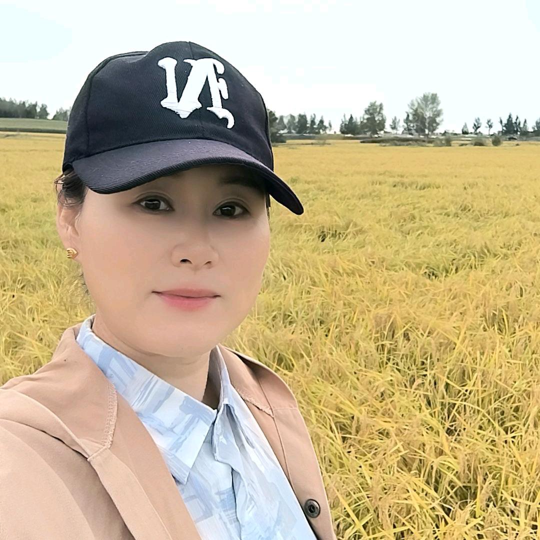 五常霞姐稻花香大米