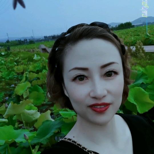 波波姐