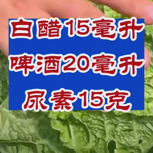 孤孤单单一个人