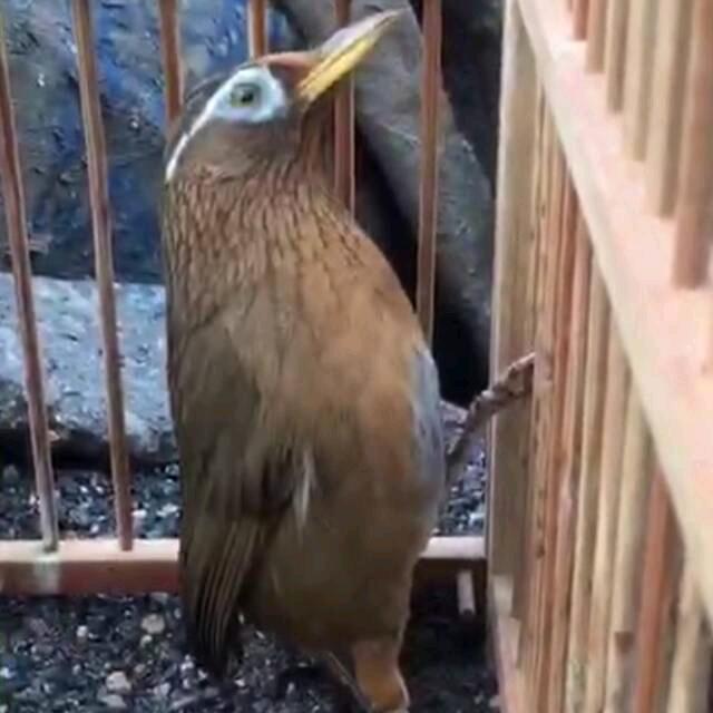 半生落定    贵州黔东南