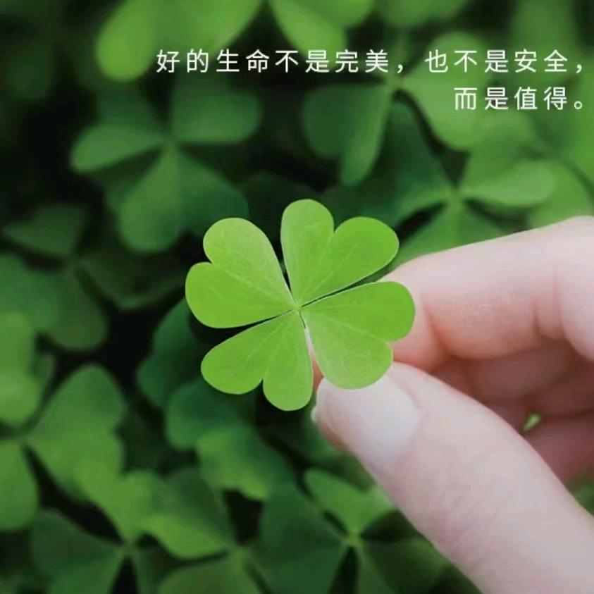 阳光正好