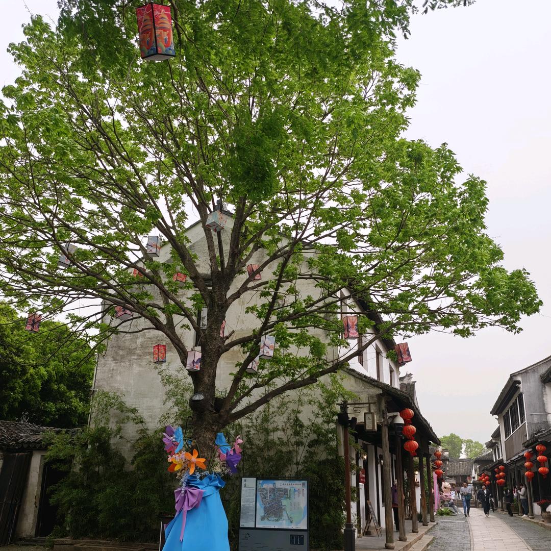 不爱跑步的小强