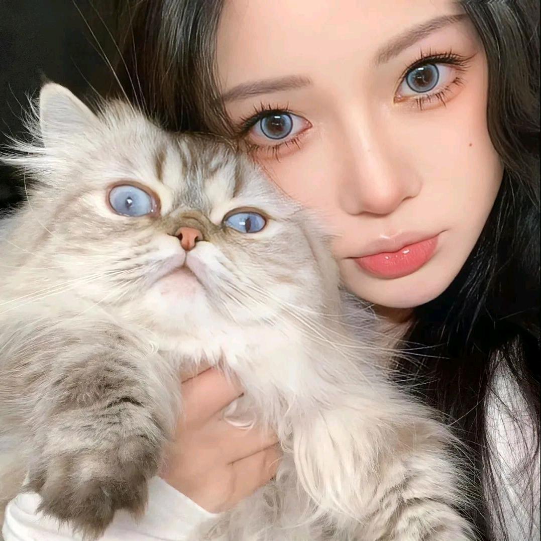 鱼头🐟