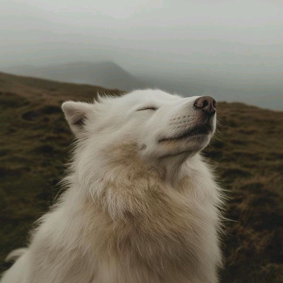 不要把梦想埋没