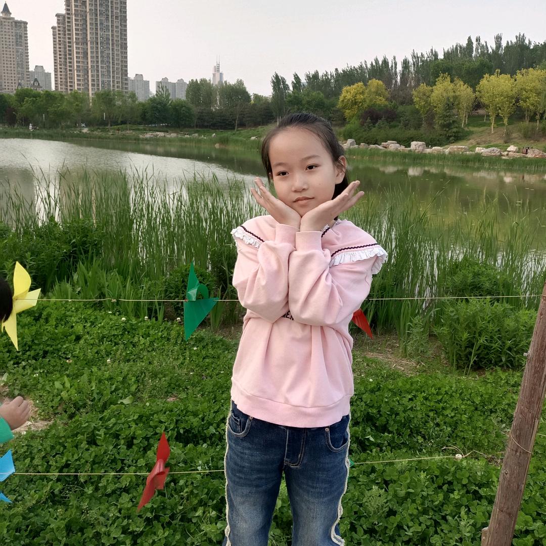 🍀🍀百合🌴🌴