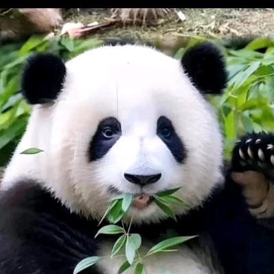 梦幻西游大海全服仙玉积分兑换