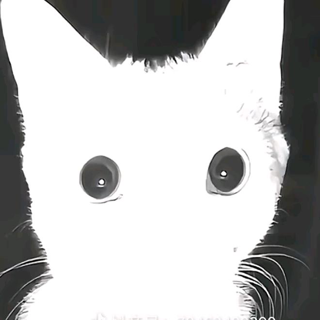 尘世漂泊永无定