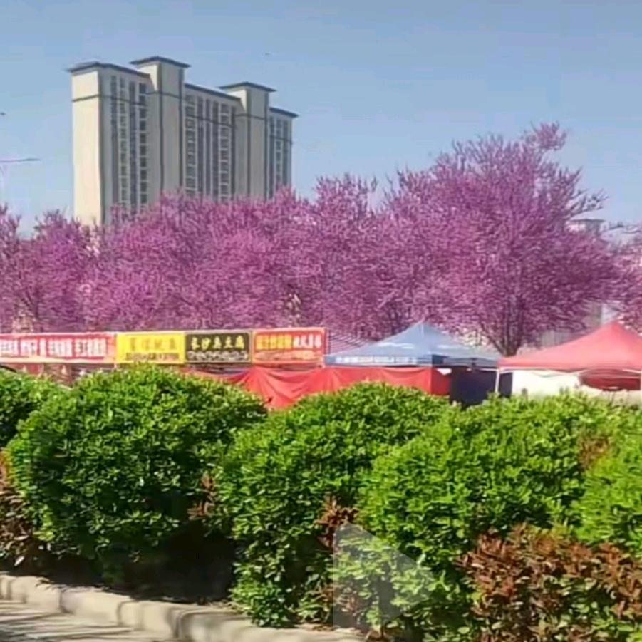 霞姐团购达人（关必回）