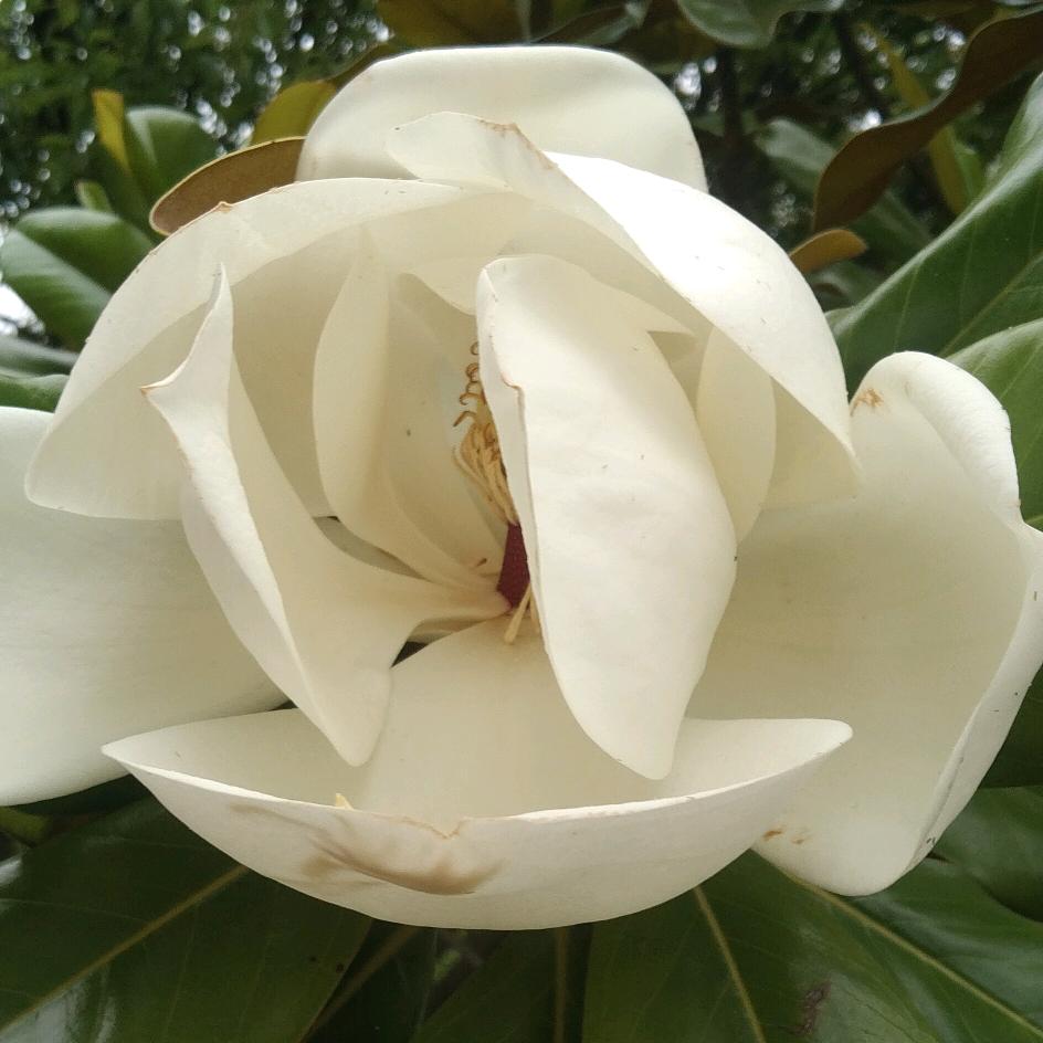 等的是🇨🇳🇨🇳