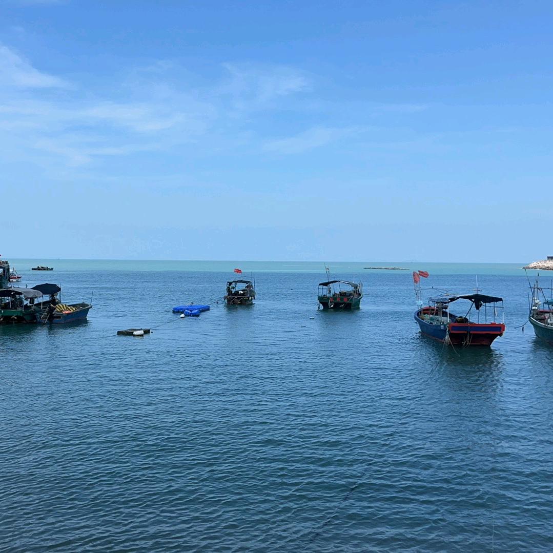 海石