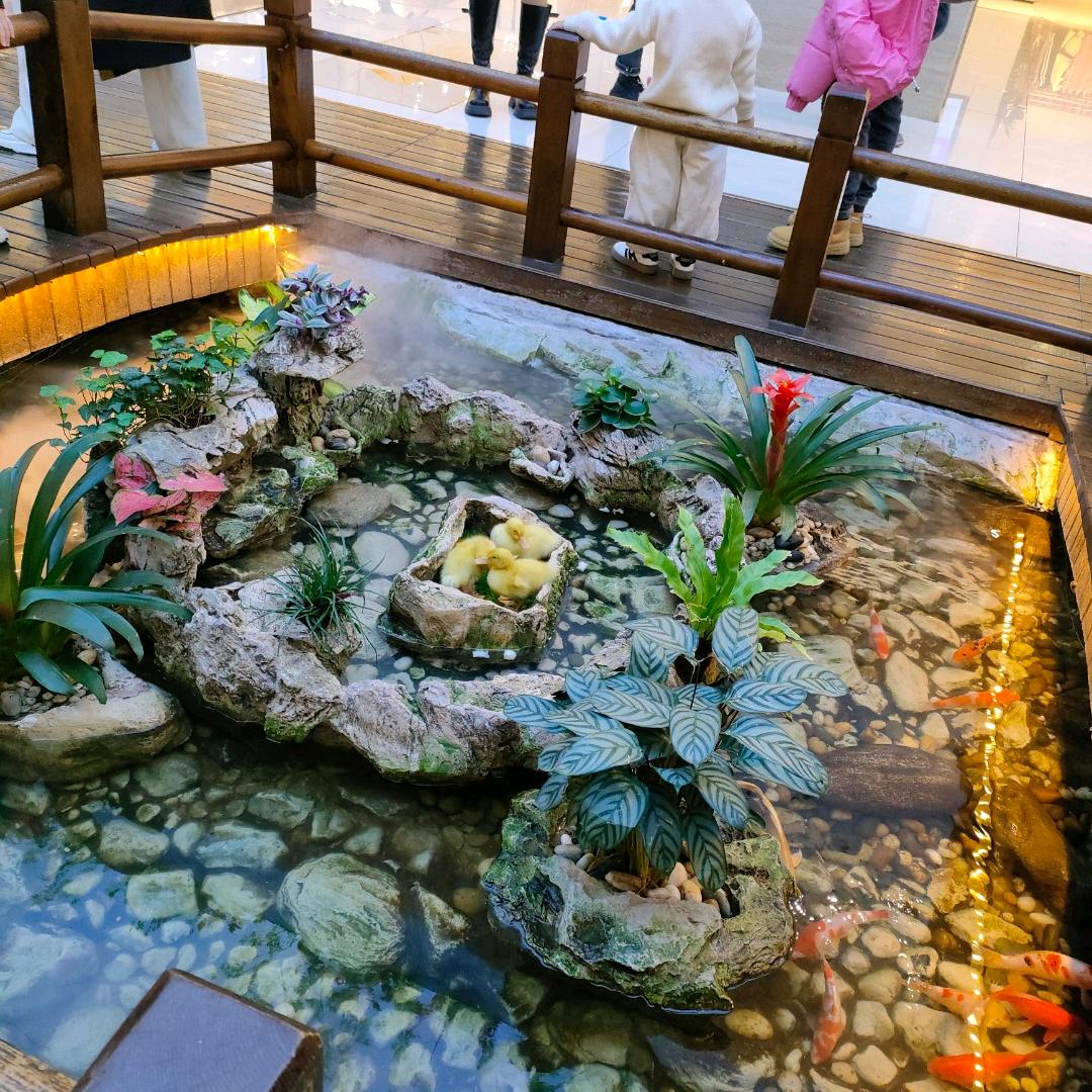 陈年往事随风飘去