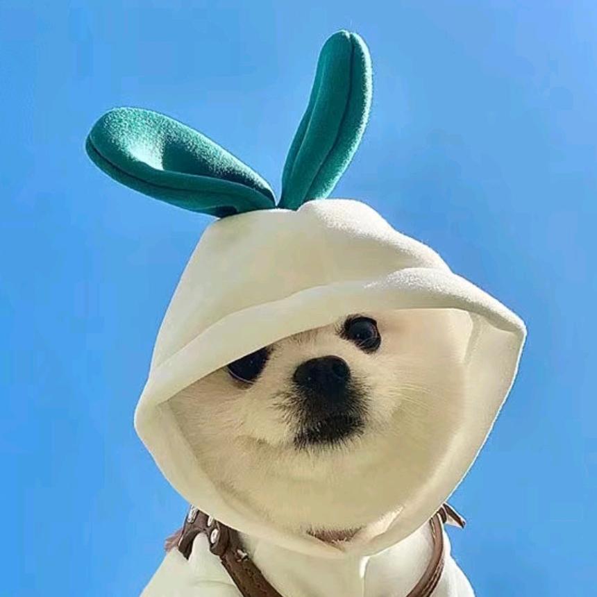 😋