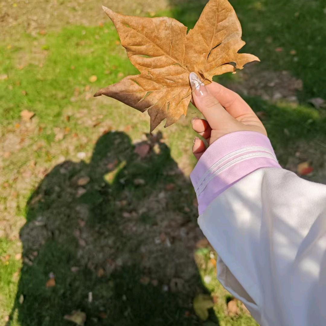 喜欢甜妹（减肥版）