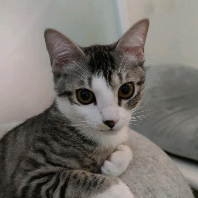 丁丁当当(≧▽≦)