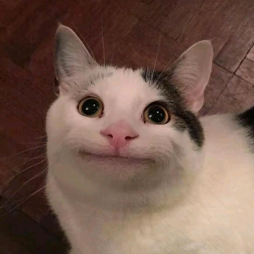 黄豆酱:D