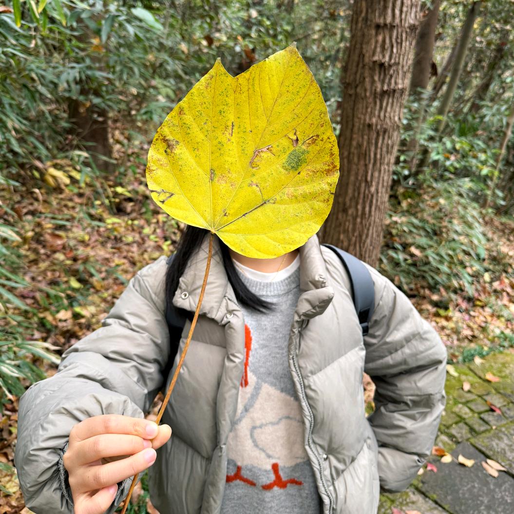 吉吉在这