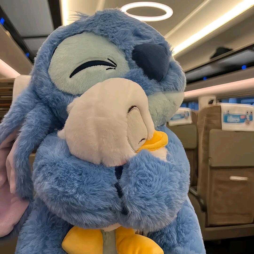 💕 Serendipity💕