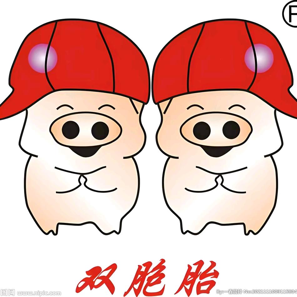 武宣双胞胎饲料直销店