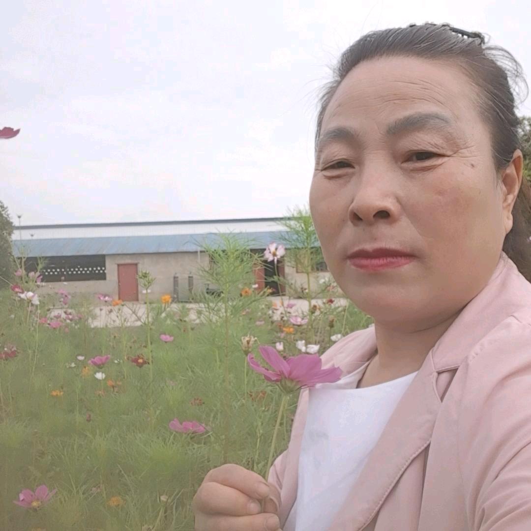 星河琼影