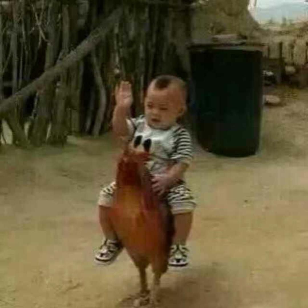 广西老吴