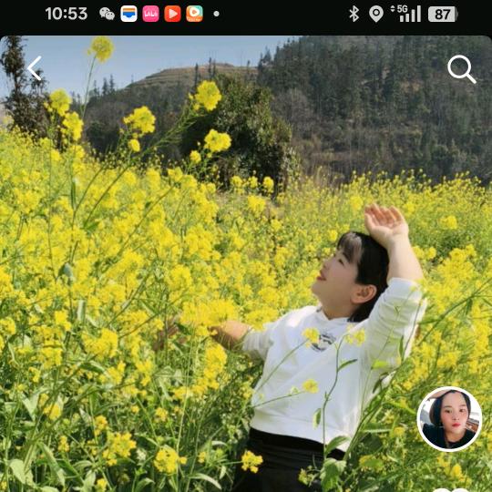 汽车装饰店铺里个″“1↗花花草草收花↗兵