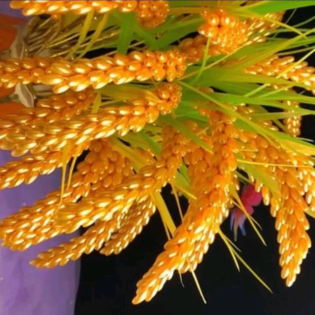 正蓝