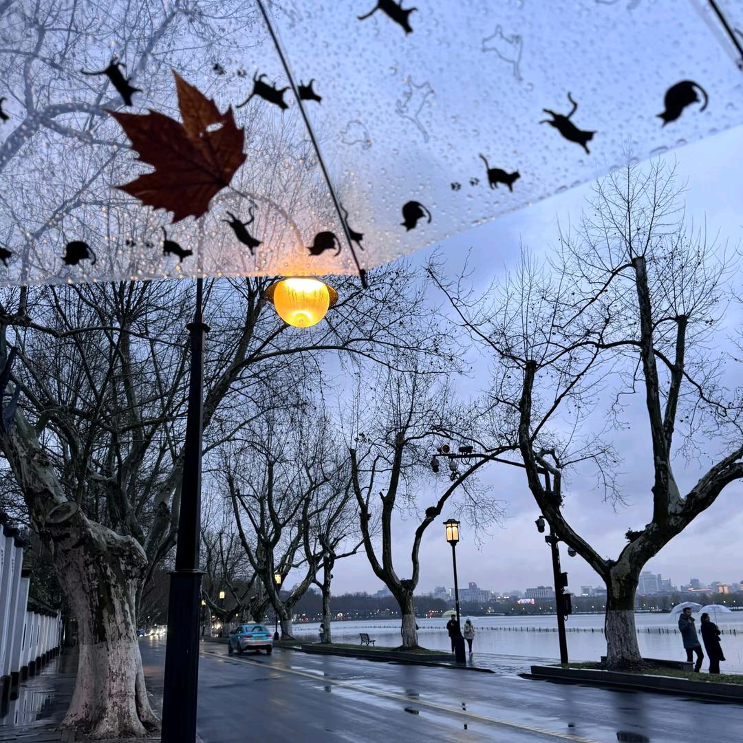 是阴雨也是晴天