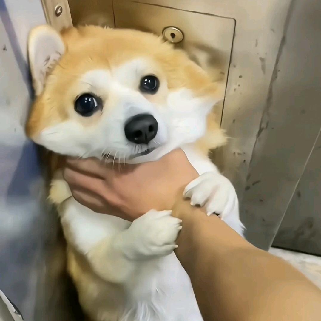 夜雨