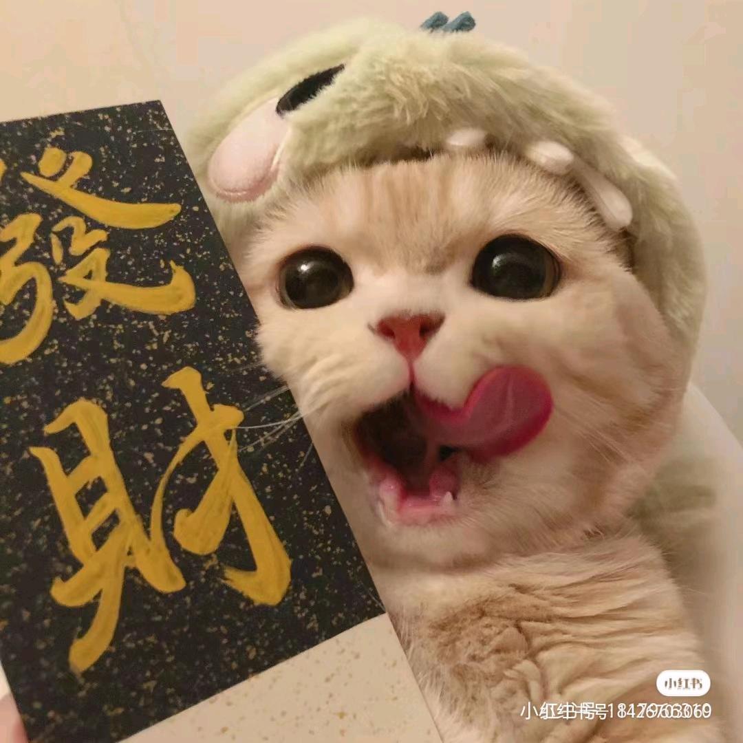 阿望