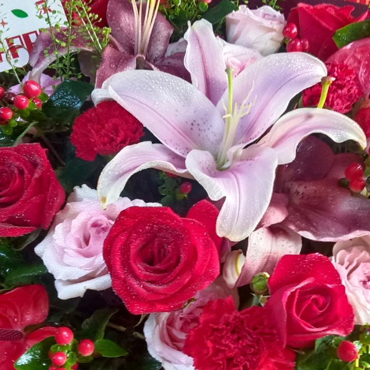 余生做自己的女王