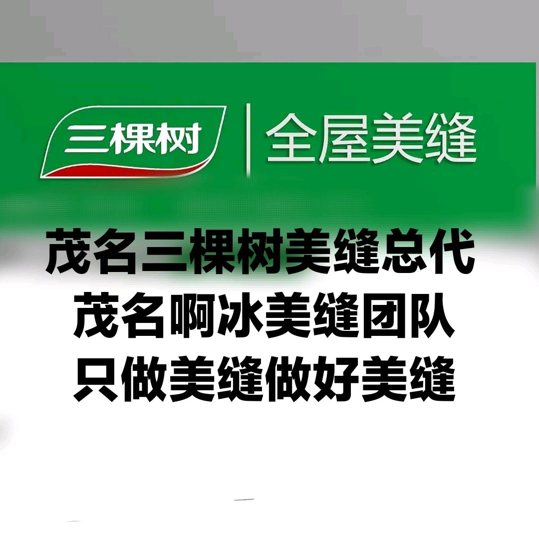 啊冰茂名三棵树立邦美缝总代