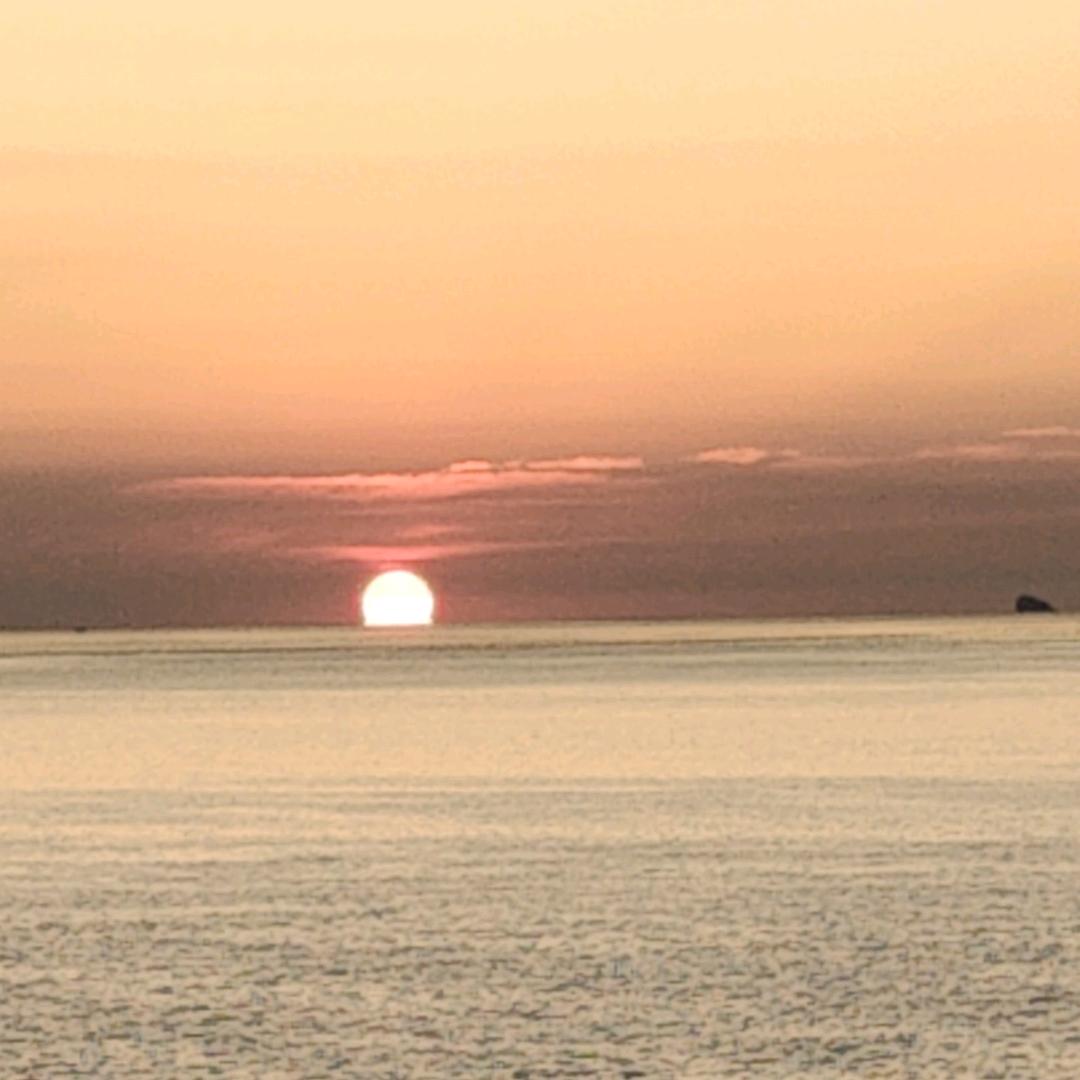 请开始你的表演，