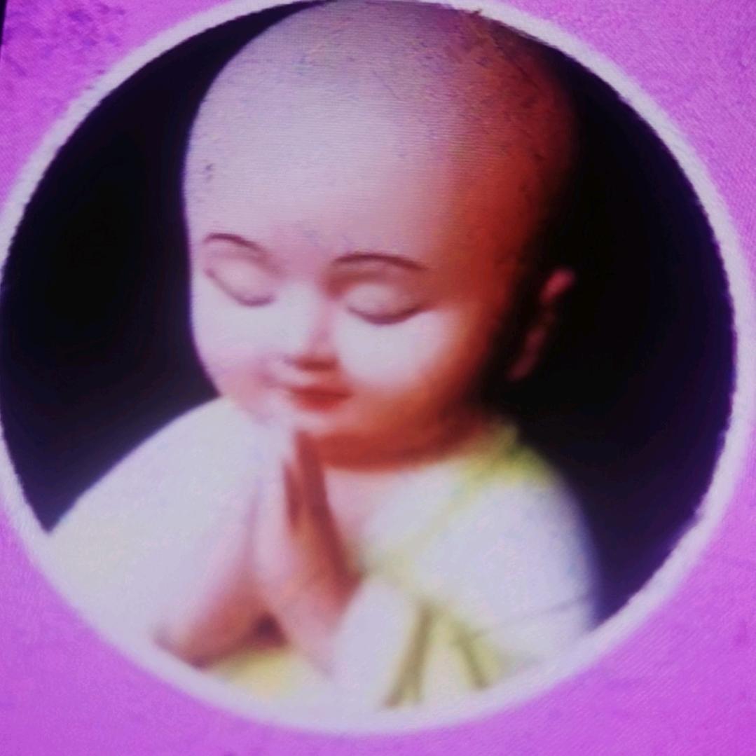 🇨🇳悟：禅语佛心🙏🎈🎈