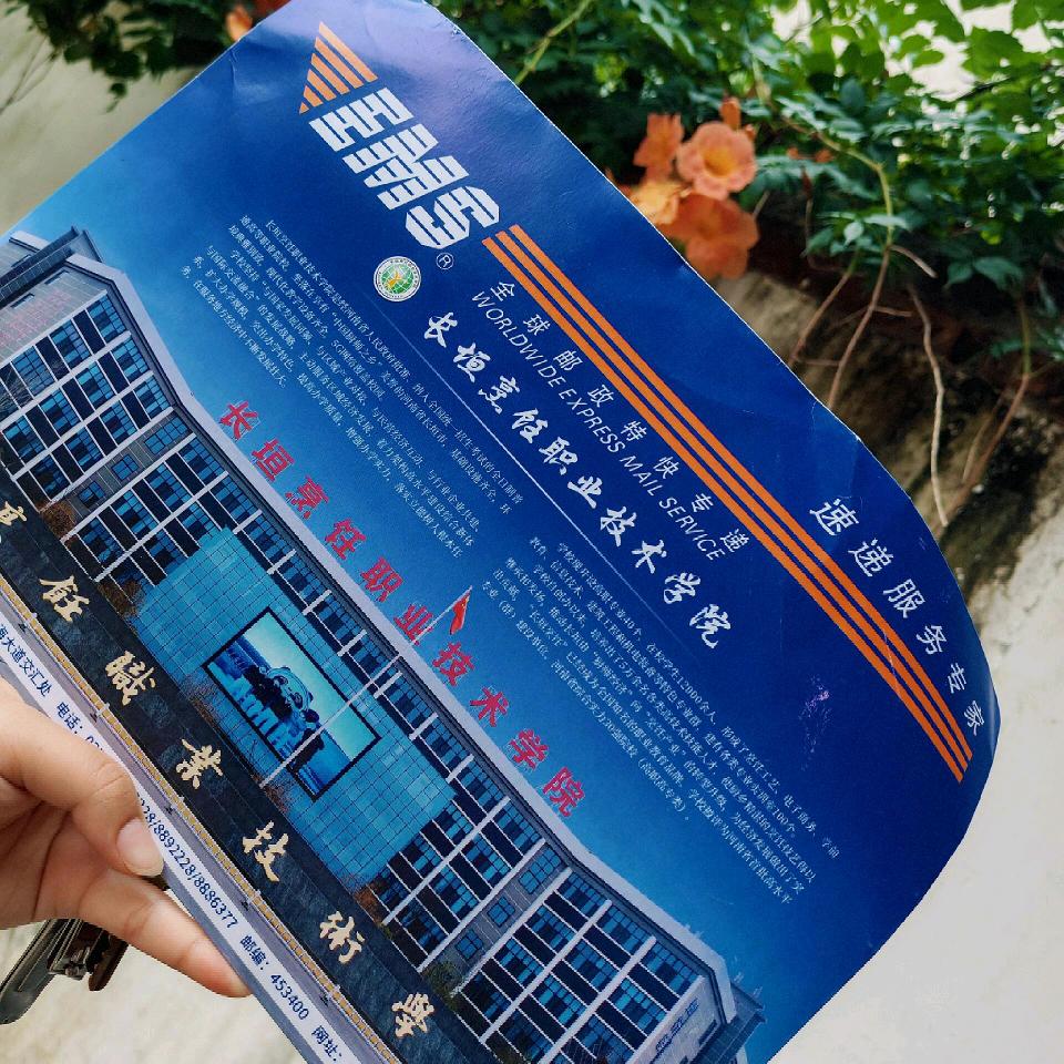 河南升学赵老师