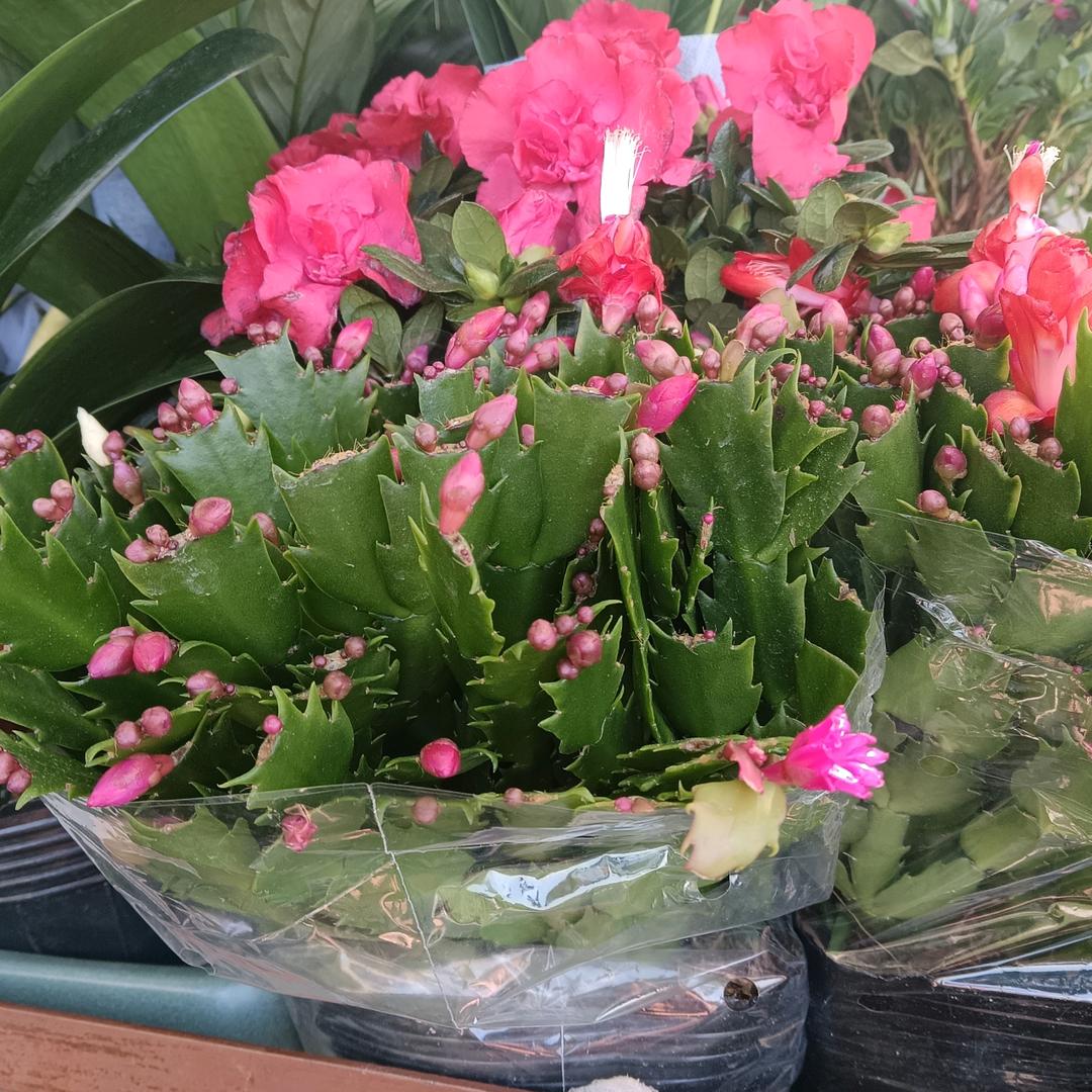 美好人生，，👍