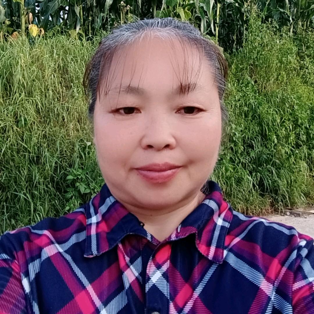 刘三姐.下午6.20开播