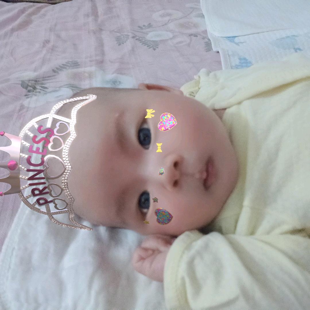 汤圆宝贝