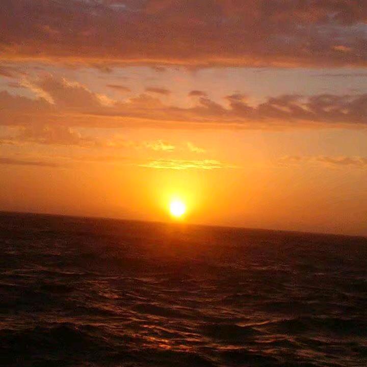 ✨💕ꦿ᭄墨城烟✨柳༉ᩚ᭄