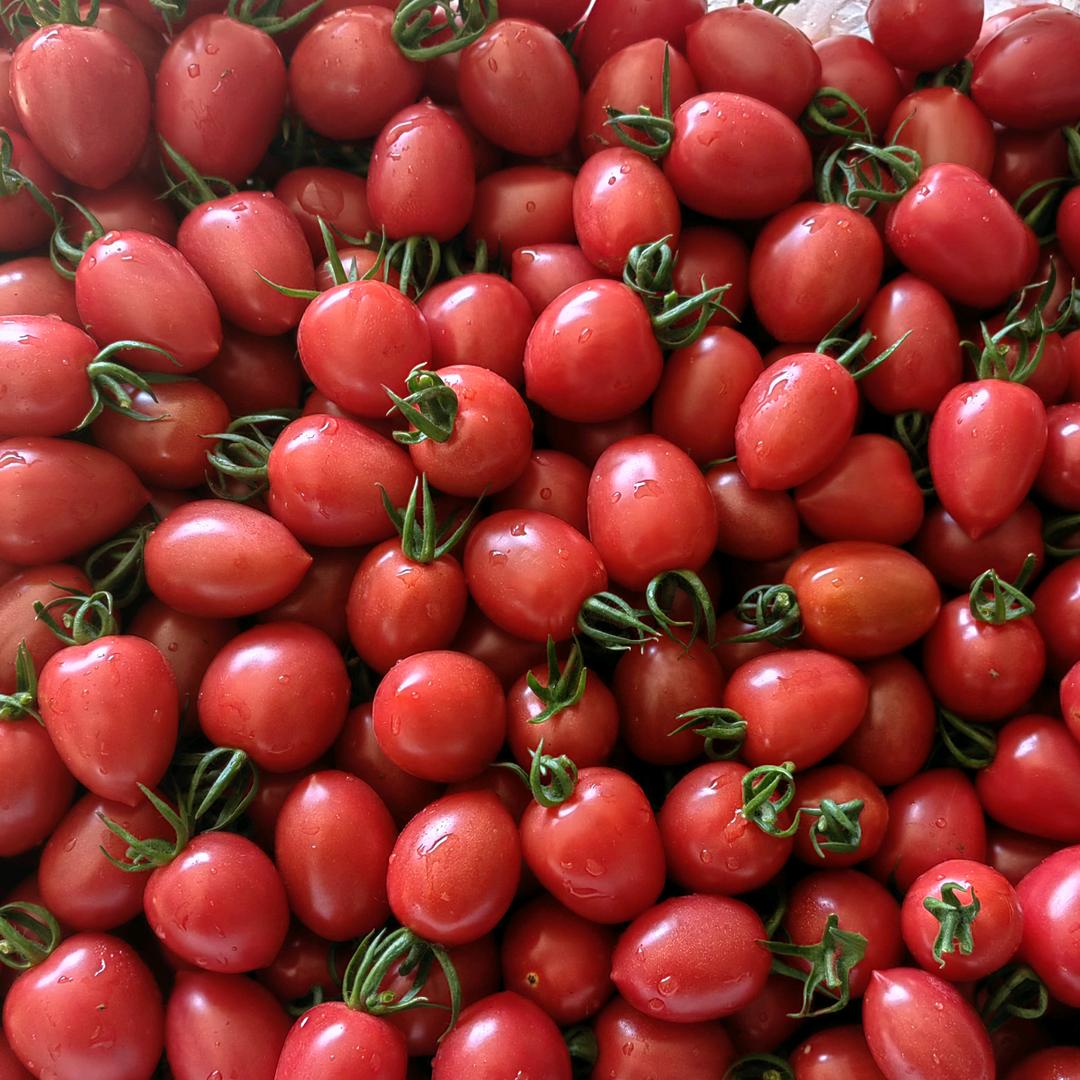 新农人甜百万🍅