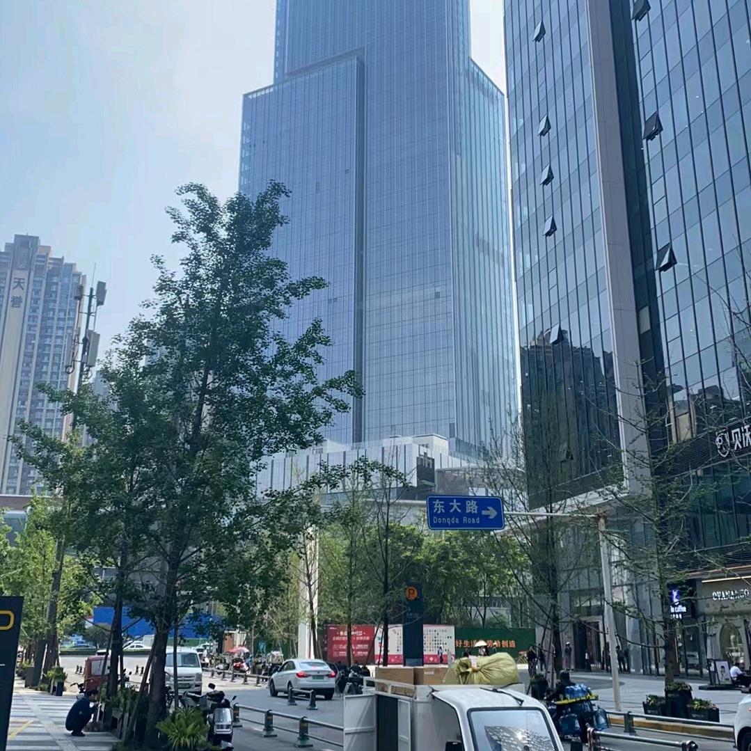 过往